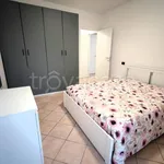 Rent 2 bedroom apartment of 55 m² in Padova