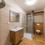 Pronájem bytu 1+1 v osobním vlastnictví 48 m², Vizovice