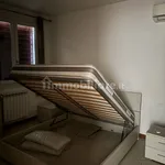 Rent 2 bedroom apartment of 45 m² in Rovigo