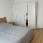 Rent 2 bedroom apartment of 51 m² in München