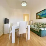 Rent 2 bedroom apartment of 55 m² in Turin