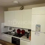 Rent 2 bedroom apartment of 50 m² in Arezzo