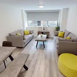 Rent 1 bedroom student apartment in Dublin 1