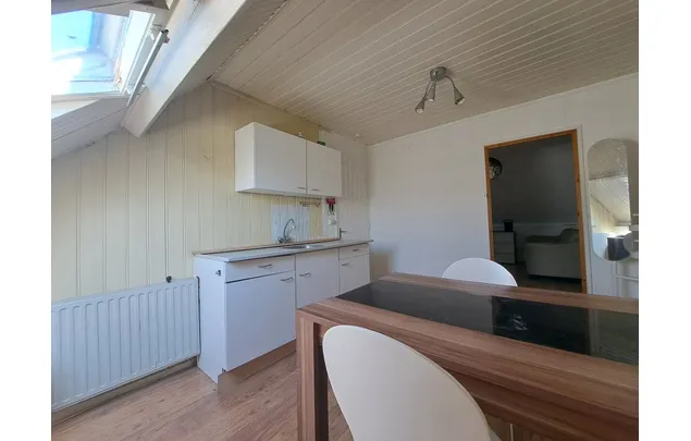 Studio van 29 m² in Parklaan-Hoogstraat