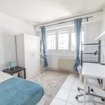 Louez une chambre de 100 m² à Strasbourg