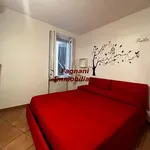 Rent 2 bedroom apartment of 48 m² in Roma