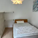 Miete 1 Schlafzimmer wohnung von 35 m² in Heidelberg