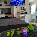 Rent 1 bedroom apartment in Hamilton