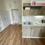 Rent 1 bedroom apartment in Prague