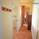 Rent 2 bedroom apartment of 50 m² in Novara