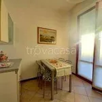 Rent 4 bedroom apartment of 105 m² in Firenze