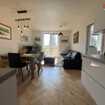 Rent 3 bedroom apartment of 60 m² in Praha