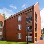 Rent 2 bedroom apartment of 52 m² in Verden