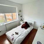 Rent 4 bedroom house in North East England