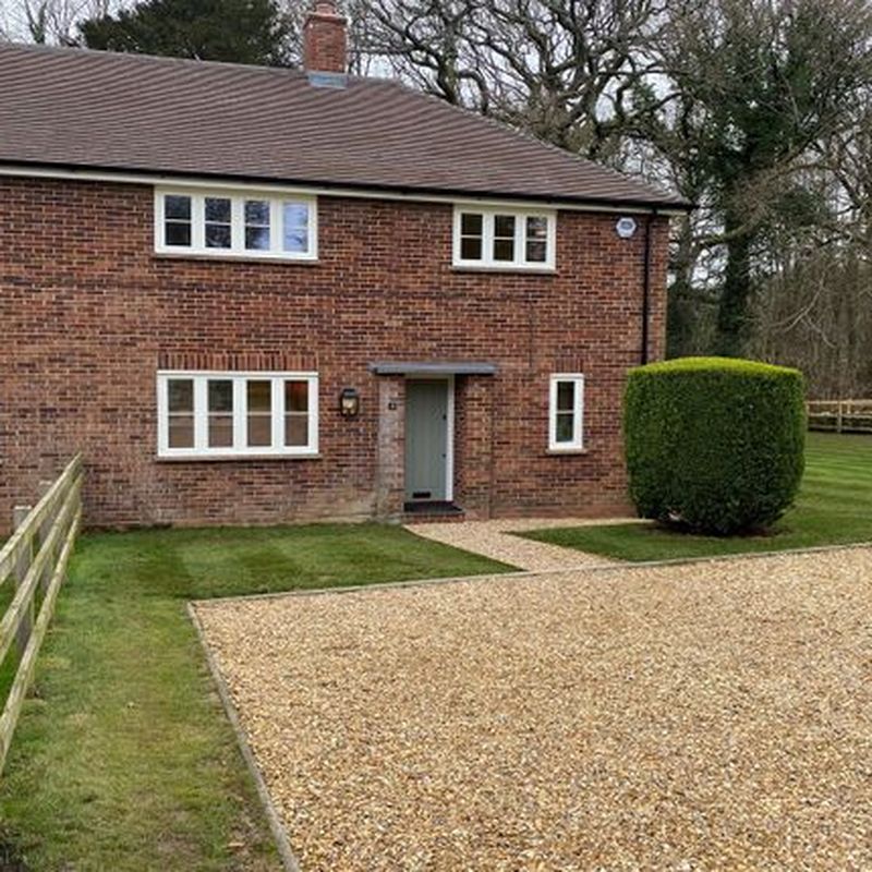 Semi-detached house to rent in Woodlands, Bramdean, Alresford, Hampshire SO24 New Alresford