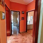 Rent 5 bedroom apartment of 65 m² in Padua