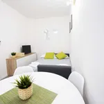 Rent 1 bedroom apartment of 46 m² in bologna