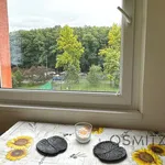 Rent 3 bedroom apartment in Capital City of Prague