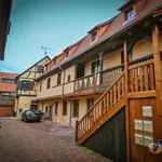 Rent 2 bedroom apartment of 48 m² in Obernai