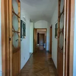 Rent 7 bedroom apartment of 165 m² in FIRENZE