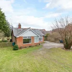 Detached bungalow to rent in Gables, Stodmarsh Road, Canterbury CT3