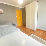 Rent 5 bedroom apartment in Bilbao