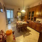 Rent 3 bedroom apartment of 75 m² in Torino