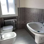 Rent 1 bedroom apartment of 100 m² in Mantova