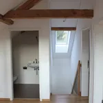 Rent 6 bedroom apartment in Plaffeien