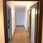 Rent 4 bedroom apartment in Rome