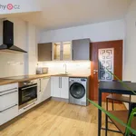 Rent 2 bedroom apartment of 39 m² in Plzeň