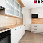 Rent 4 bedroom apartment of 75 m² in Brno