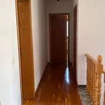 Rent 5 bedroom apartment in alicante