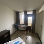 Rent 3 bedroom apartment of 78 m² in AX HEERENVEEN