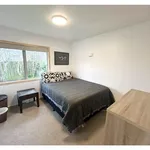 Rent 2 bedroom house in Whau