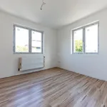 Rent 3 bedroom apartment in Budapest