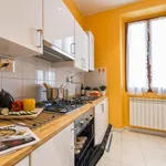 Rent 1 bedroom apartment in Florence