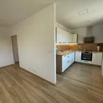 Rent 1 bedroom apartment in Ostrava