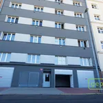 Rent 3 bedroom apartment of 100 m² in Prague