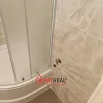 Rent 1 bedroom apartment in Brno