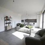 Huur 1 slaapkamer appartement in Roeselare