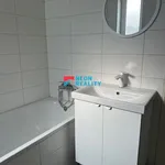 Rent 2 bedroom apartment of 45 m² in Opava