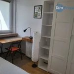 Rent 1 bedroom apartment of 6 m² in Brno