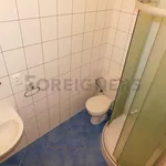 Pronajměte si 1 ložnic/e byt o rozloze 48 m² v Pilsen