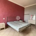 Rent 2 bedroom apartment of 55 m² in Asti