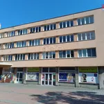 Rent 2 bedroom apartment of 56 m² in Ostrava