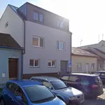 Rent 1 bedroom apartment of 20 m² in Brno