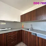 Rent 1 bedroom apartment of 30 m² in Blansko