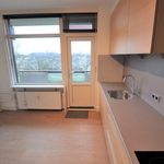 Rent 2 bedroom apartment of 97 m² in Eindhoven