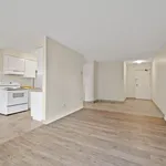  appartement avec 1 chambre(s) en location à Windsor, ON